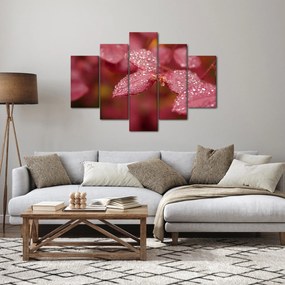Tablou - Imagine macro a biletului (150x105 cm)