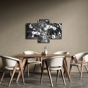 Tablou - Pânza de păianjen în pajiște (90x60 cm)