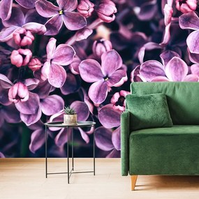 Fototapet flori violete de liliac