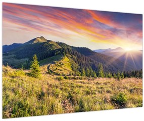 Tablou - Peisaj forestier (90x60 cm)