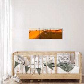 Tablou deșertului (cu ceas) (90x30 cm)