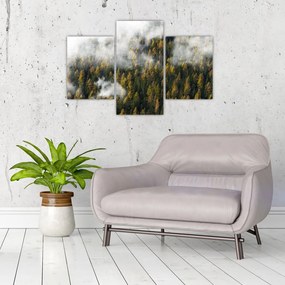 Tablou - Pădure în nori (90x60 cm)