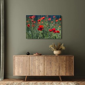Tablou - Lunca cu maci (90x60 cm)