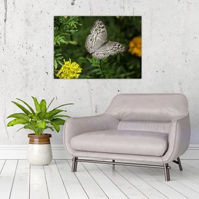 Tablou - fluture alb (70x50 cm), în 40 de alte dimensiuni noi