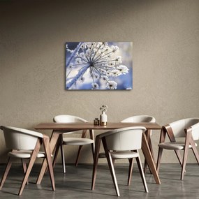 Tablou - Flori înghețate (70x50 cm)