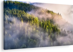Tablou peisajului montan (90x60 cm)