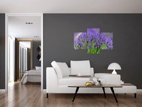 Tablou - lavanda (90x60 cm)