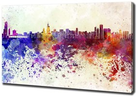 Tablou canvas Colorat chicago
