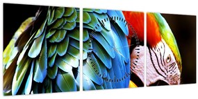 Tablou - Papagal (cu ceas) (90x30 cm)
