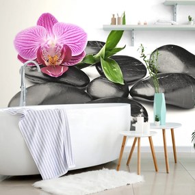 Tapet pietre wellness pentru masaj