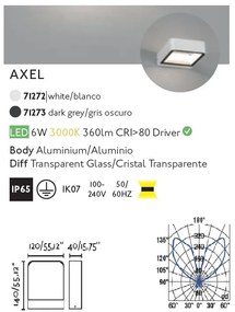 Aplica perete LED de exterior ambientala IP65 AXEL gri
