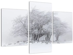 Tablou - Iarnă albă (90x60 cm)