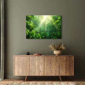 Tablou - Pădurea tropicală (90x60 cm)
