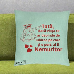 Cadou pentru Tata - Perna Personalizata Tata Nemuritor cu Fetita, 40x40 cm, Verde Menta, Husa Detasabila, Perna Inclusa, BEKZ®