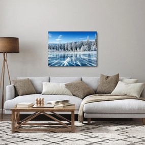 Tablou cu lacul înghețat și copacii înzăpeziți (70x50 cm)