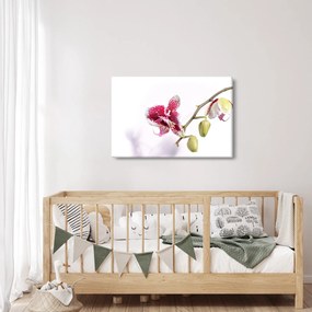 Tablou cu floarea de orhidee (90x60 cm)