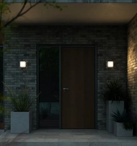 Aplica de perete / tavan exterior IP54 Oliver Black