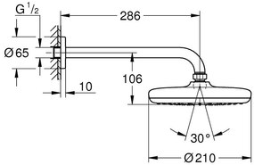 Palarie dus fix Grohe Tempesta 210, O21 cm cu brat, montaj pe perete