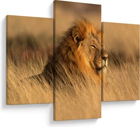 Tablou - Parcul Național Etosha (90x60 cm)