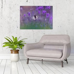 Tablou pe sticlă - fluture în lavandă (70x50 cm)