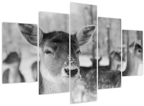 Tablou - Cerbi,alb-negru (150x105 cm)