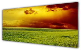 Tablouri acrilice Câmp Peisaj verde