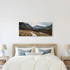 Tablou - Poteca în valea muntelui Mt. Cook (120x50 cm)