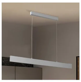Lustră LED dimabilă pe cablu Brilagi SLIMLINE LED/40W/230V 3000-6000K argintiu + telecomandă