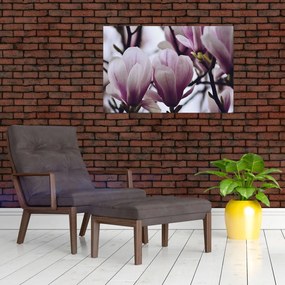 Tablou - Magnolie (90x60 cm)