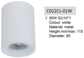 Spot aplicat de tavan/plafon Alfa MYC012CL-01W