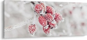 Tablou - Fructe congelate (120x50 cm)