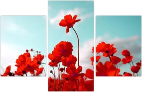 Tablou - Câmp cu flori roșu deschis (90x60 cm)