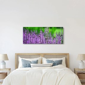 Tablou cu flori de luncă violete (120x50 cm)