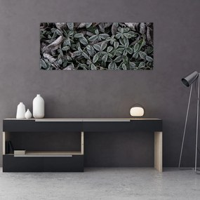 Tablou - Plante înghețate (120x50 cm)