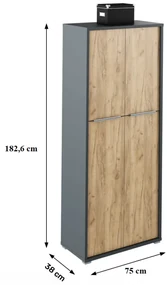 Dulap Birou RIOMA NEW TYP 07 Stejar Artisan/Grafit
