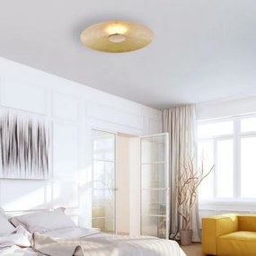 Plafonieră LED dimabilă Paul Neuhaus 8132-12 PLATE LED/25W/230V