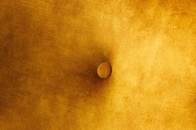 Fotoliu Clasic, Tesatura Catifea, Galben Mustra, Don A-45971 VC