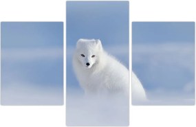 Tablou - Vulpe polară (90x60 cm)