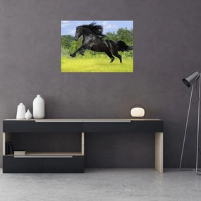 Tablou pe sticlă - Cal cu o coamă curgătoare (70x50 cm)