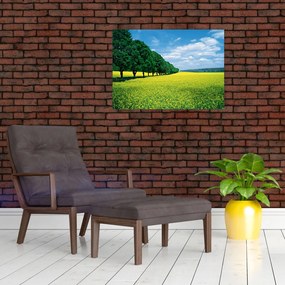 Tablou pe sticlă - Câmp cu alei (70x50 cm)