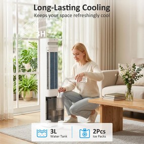 HOMCOM răcitor pentru încăperi | Aosom Romania