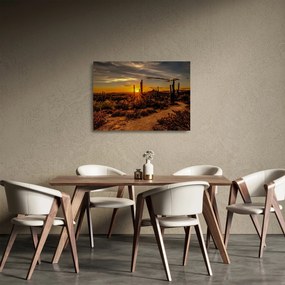 Tablou pe sticlă - Sfărșit de zi în deșertul Arizona (70x50 cm)