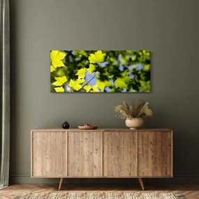 Tablou - frunze de arțar (120x50 cm)