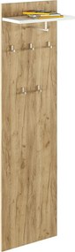 Cuier perete RIOMA TYP 19, stejar artisan/alb, DTD laminat, 50x25x181