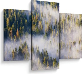 Tablou - Copac în ceață (90x60 cm)