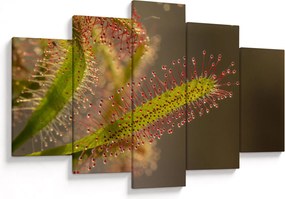 Tablou cu plantă (150x105 cm)