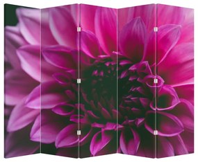 Paravan - floarea roz (210x170 cm)