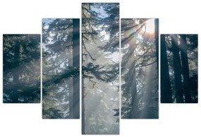 Tablou cu copaci și soarele translucind (150x105 cm)