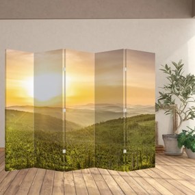 Paravan - Panorama (210x170 cm)