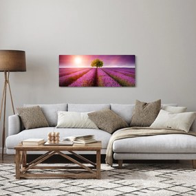 Tablou câmp cu lavandă (120x50 cm)